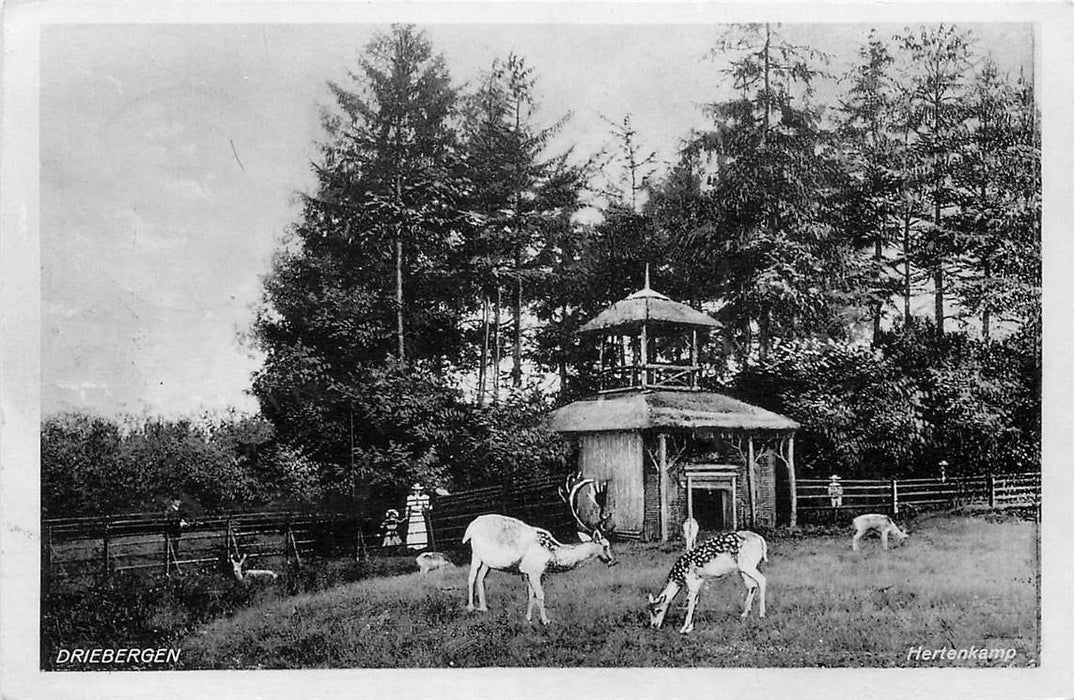 Driebergen-Rijsenburg Hertenkamp