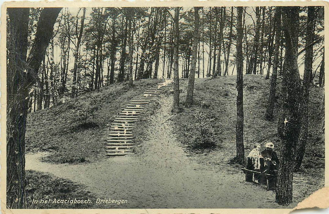 Driebergen-Rijsenburg In het Acaciabosch