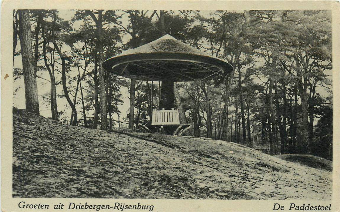 Driebergen-Rijsenburg De Paddenstoel