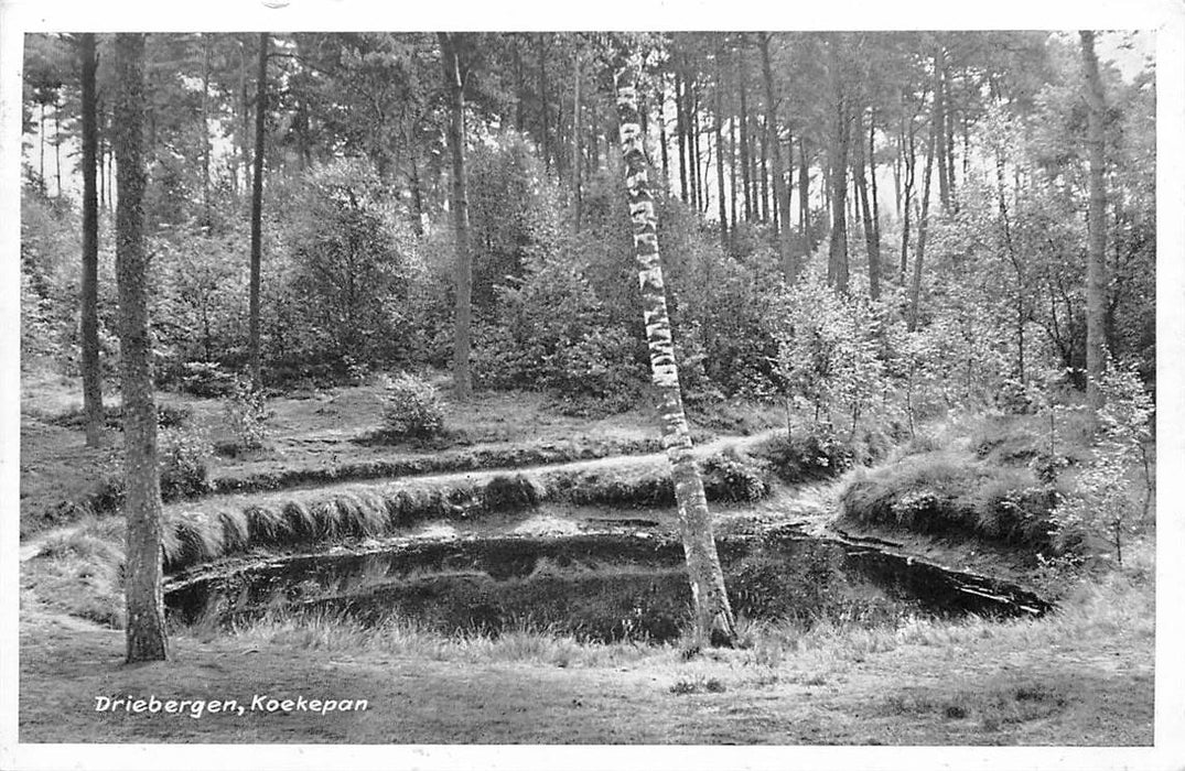 Driebergen-Rijsenburg Koekepan