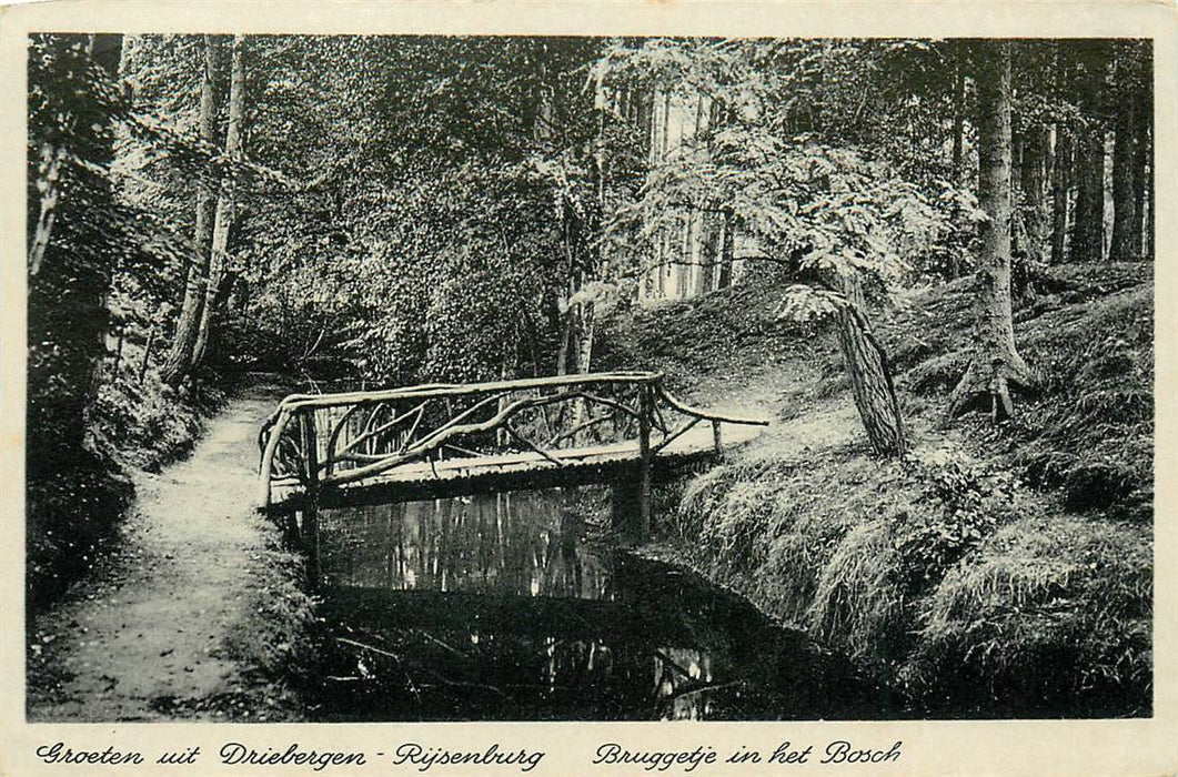 Driebergen-Rijsenburg Bruggetje in het Bosch