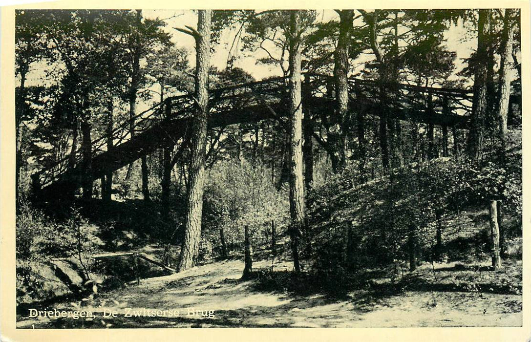 Driebergen-Rijsenburg De Zwitserse Brug