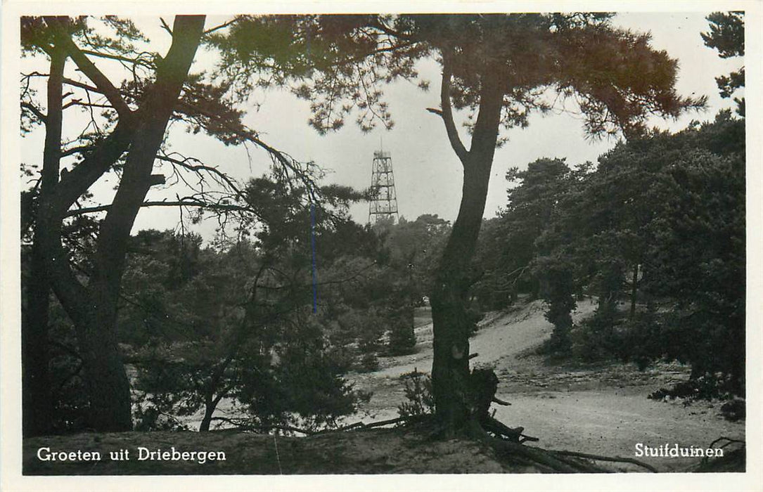 Driebergen-Rijsenburg Stuifduinen