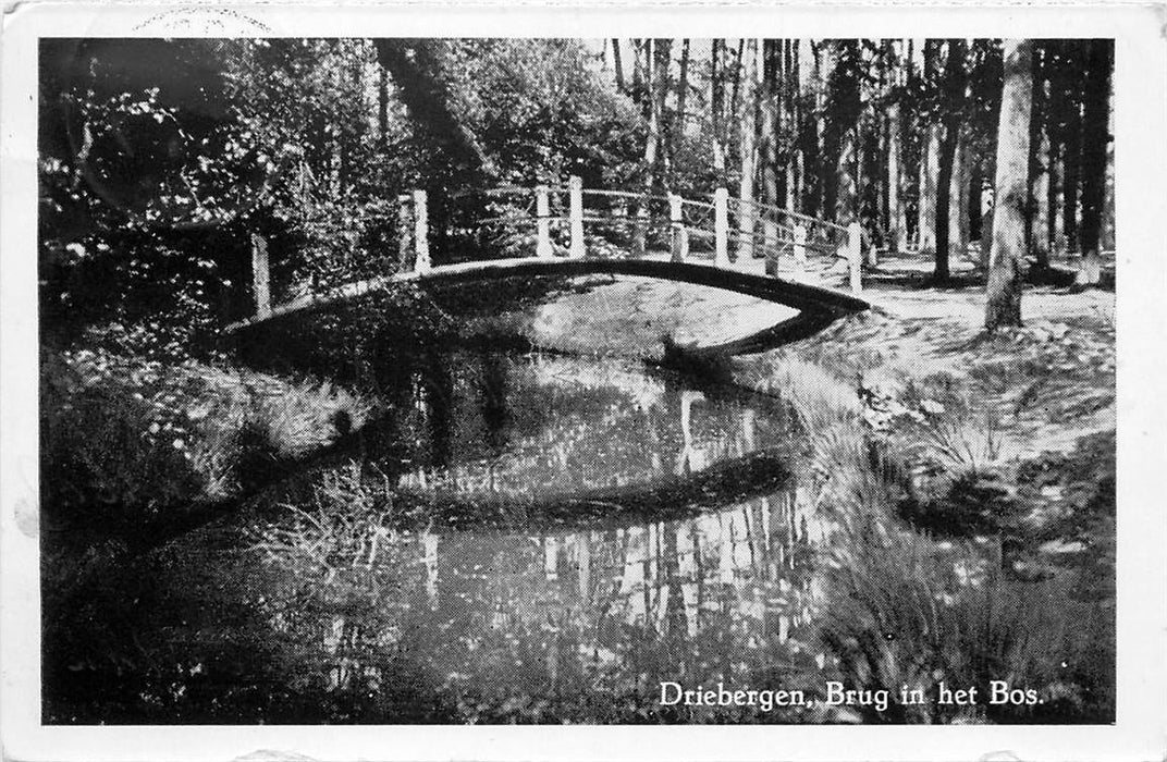 Driebergen-Rijsenburg Brug in het Bos