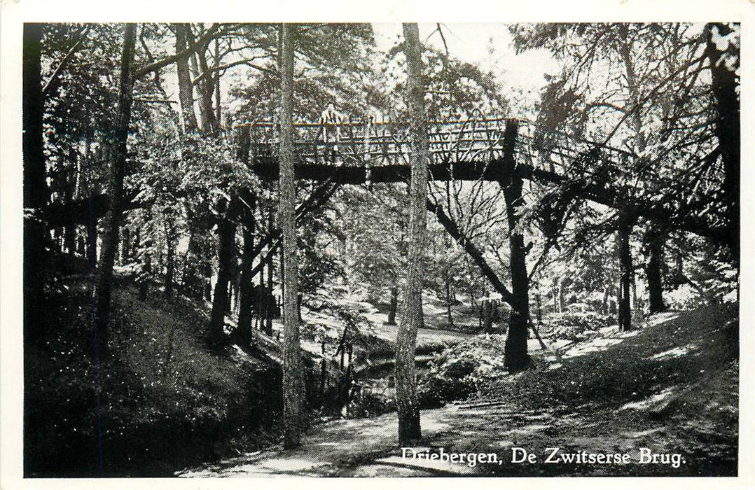 Driebergen-Rijsenburg De Zwitserse Brug