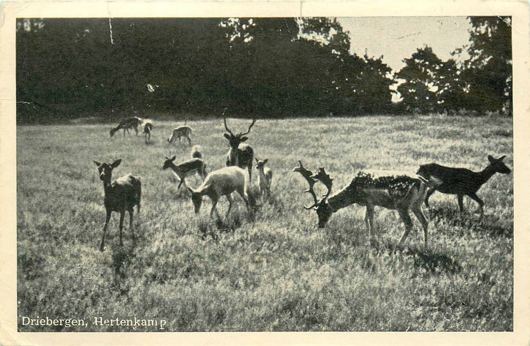 Driebergen-Rijsenburg Hertenkamp