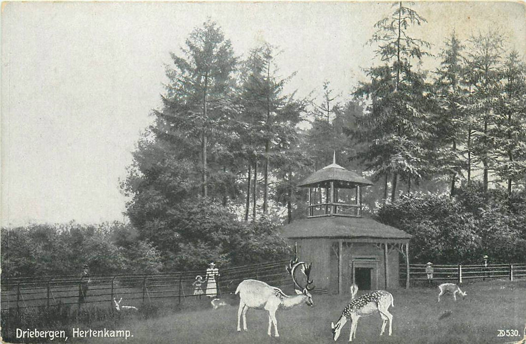 Driebergen-Rijsenburg Hertenkamp