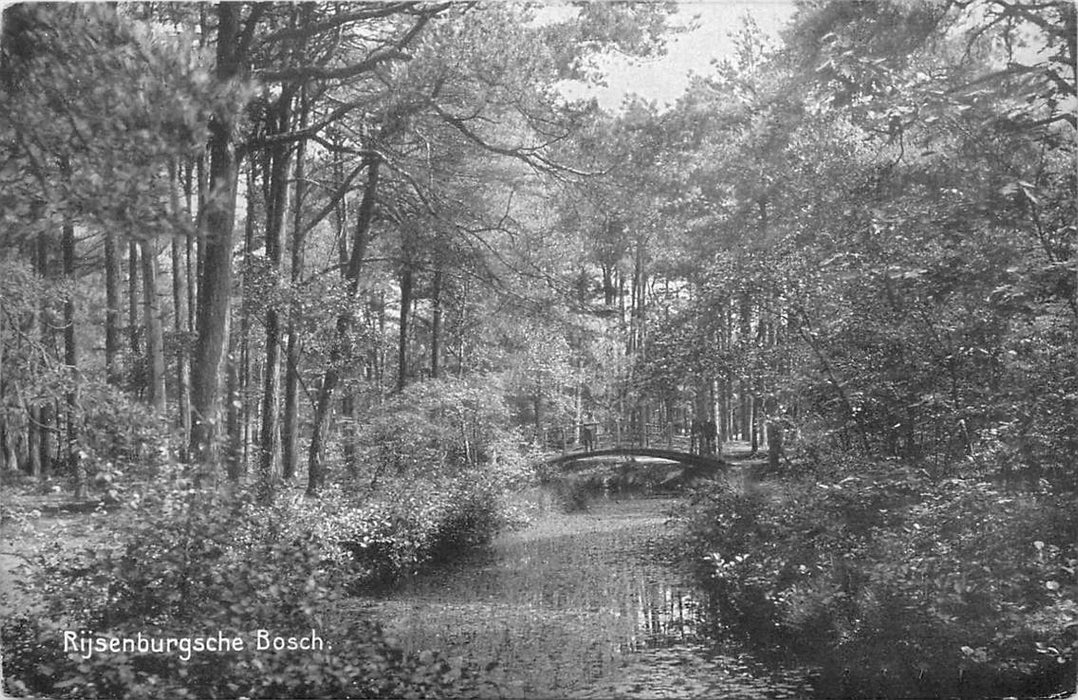 Driebergen-Rijsenburg Bosch