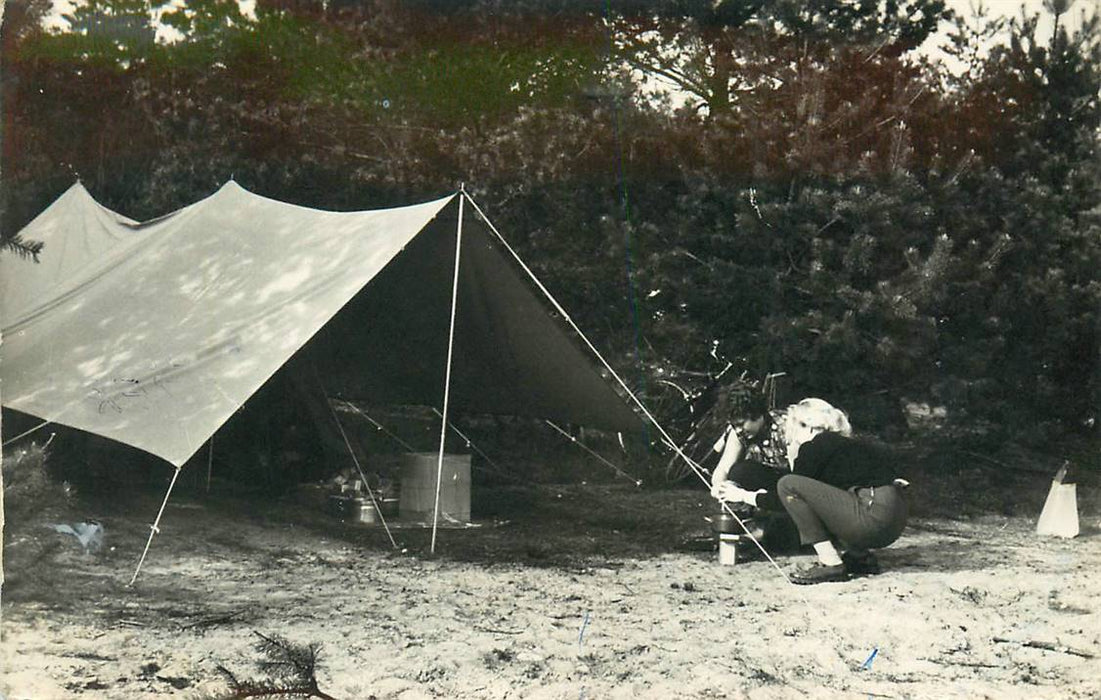 Doorn Het Grote Bos