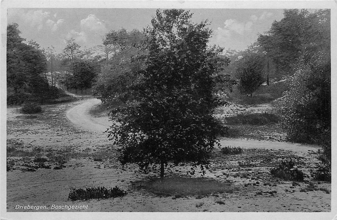 Driebergen-Rijsenburg Boschgezicht