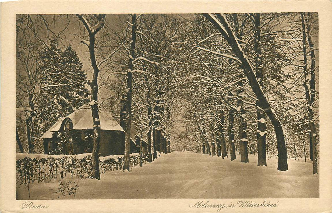 Doorn Molenweg in Winterkleed