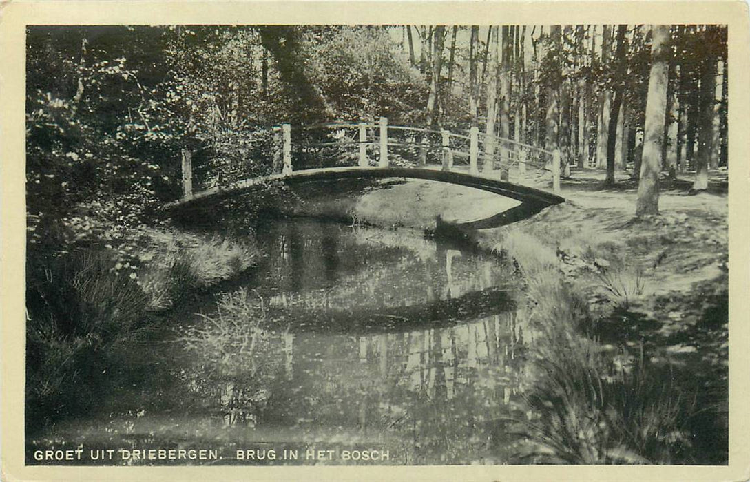 Driebergen-Rijsenburg Brug in het Bos