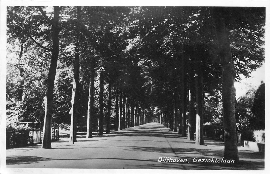 Bilthoven Gezichtslaan