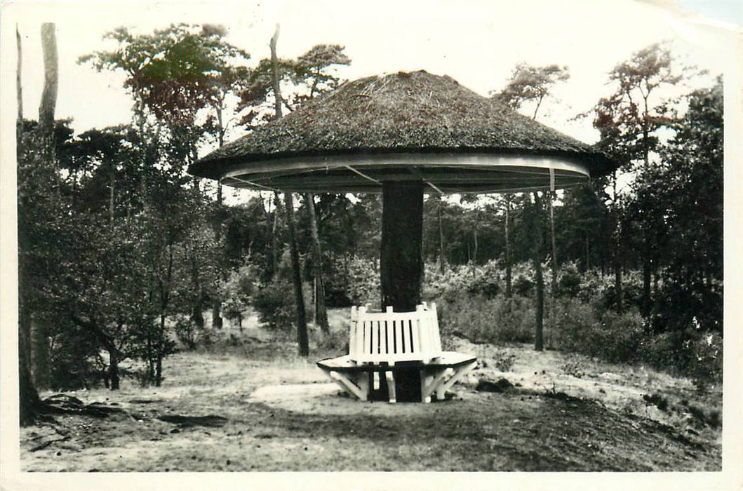 Driebergen-Rijsenburg De Paddenstoel