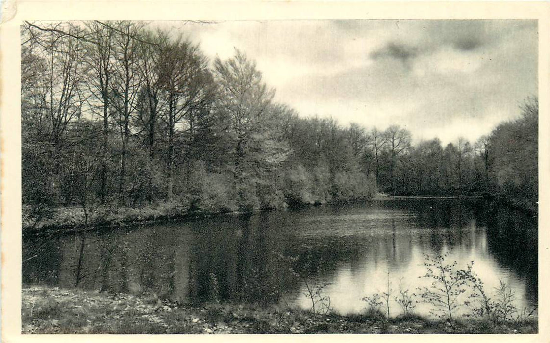 Driebergen-Rijsenburg Vijver