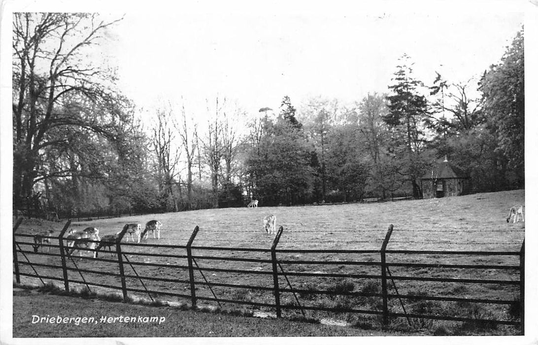 Driebergen-Rijsenburg Hertenkamp