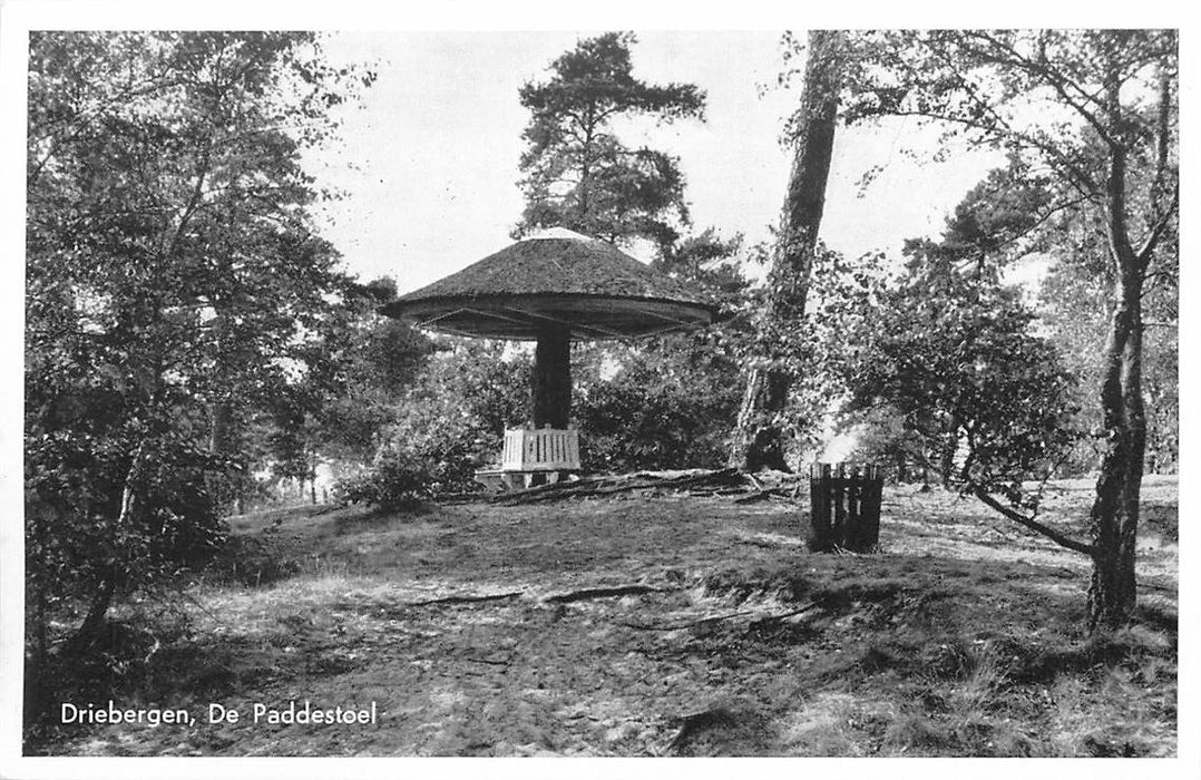 Driebergen-Rijsenburg De Paddenstoel