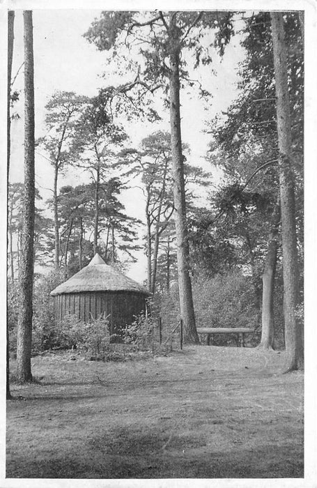 Driebergen-Rijsenburg Rijsenburgsebos