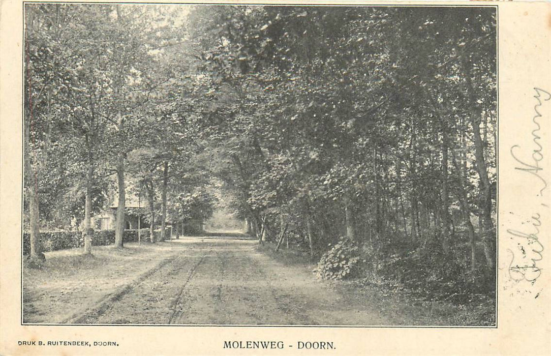 Doorn Molenweg