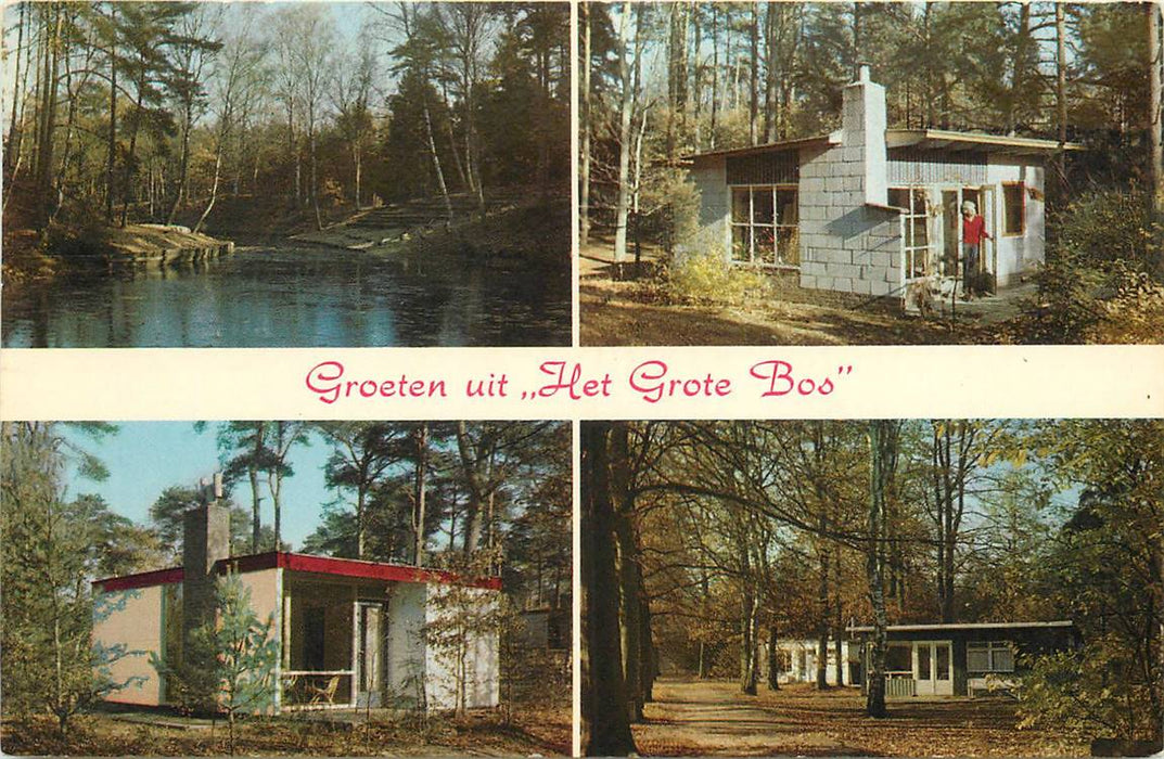 Doorn Het Grote Bos