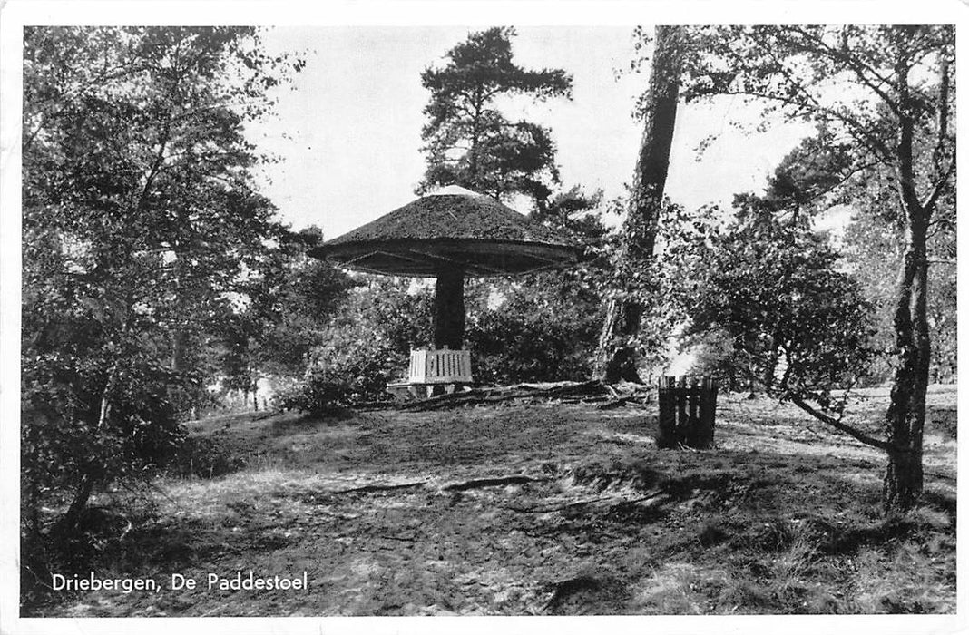 Driebergen-Rijsenburg De Paddenstoel