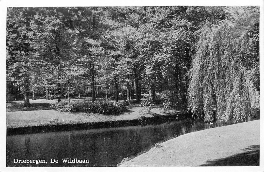 Driebergen-Rijsenburg de Wildbaan