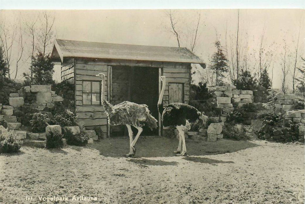 Alphen aan den Rijn Avifauna