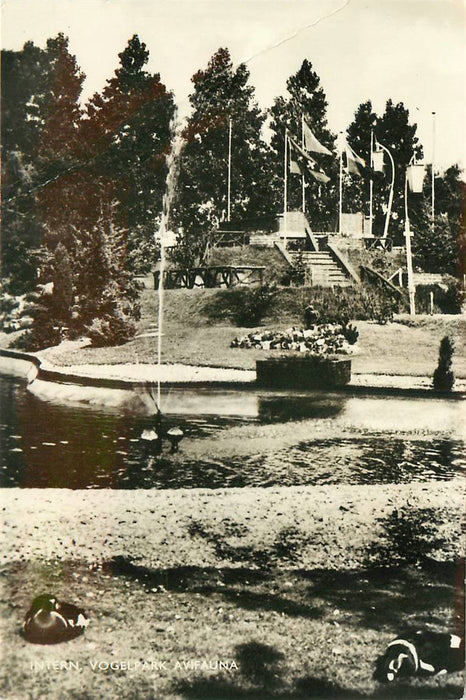 Alphen aan den Rijn Avifauna