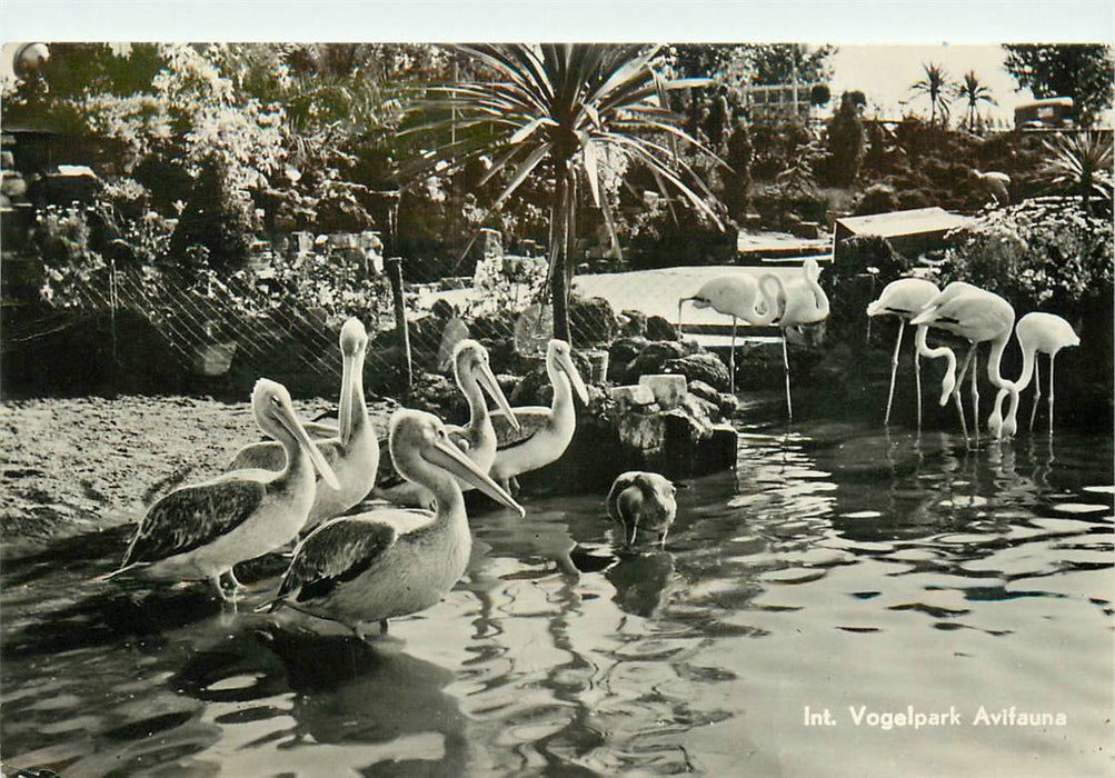 Alphen aan den Rijn Avifauna