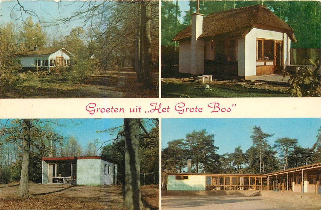 Doorn Het Grote Bos