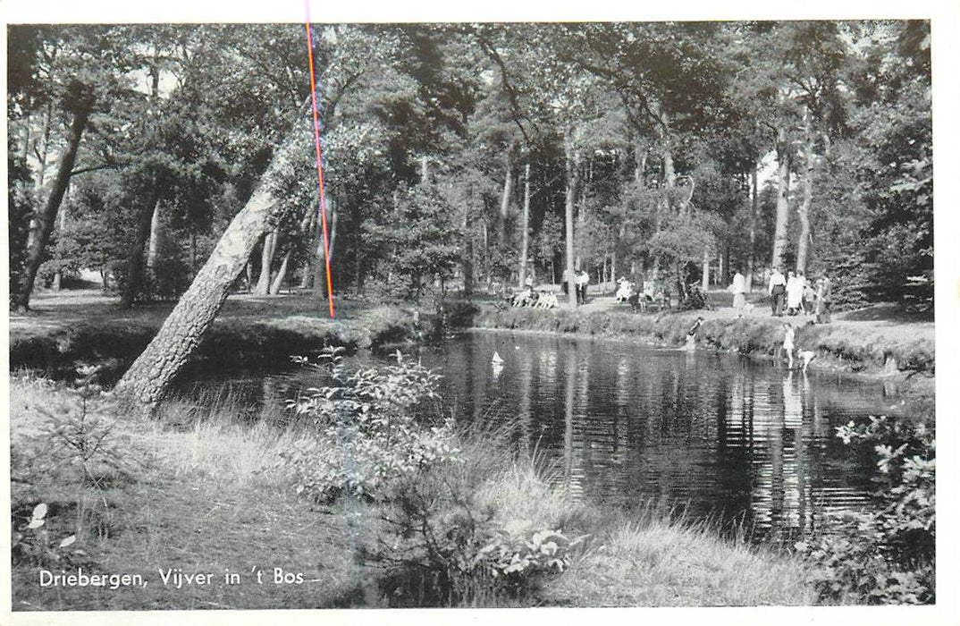 Driebergen-Rijsenburg Vijver in t bos