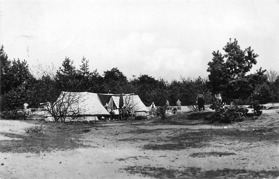 Doorn Het Grote Bos