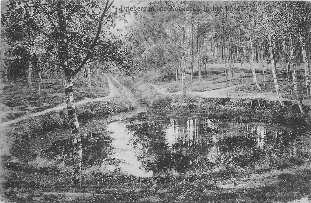 Driebergen-Rijsenburg Koekepan in het Bosch