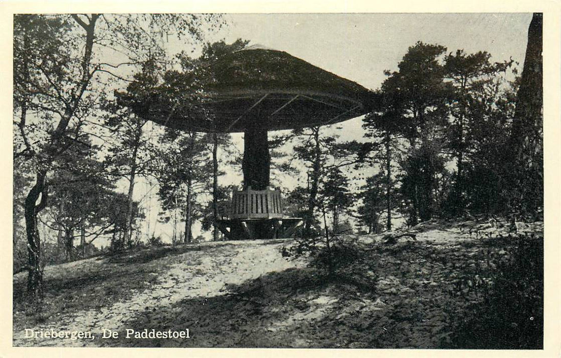 Driebergen-Rijsenburg De Paddenstoel