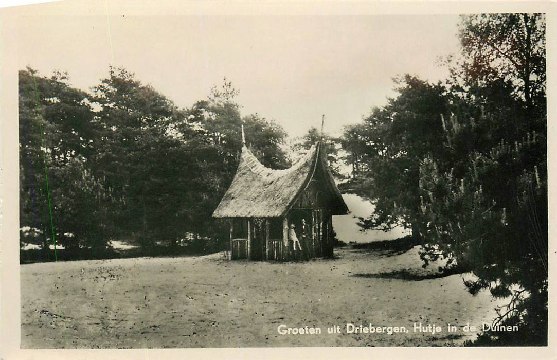 Driebergen-Rijsenburg Hutje in de duinen