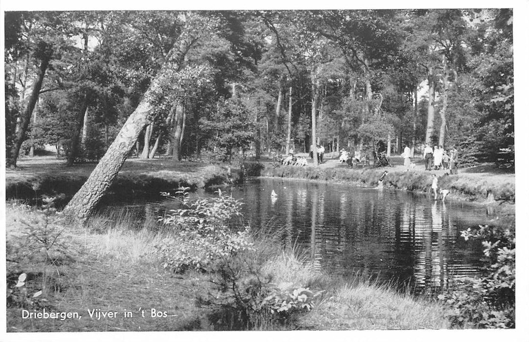 Driebergen-Rijsenburg Vijver in t bos