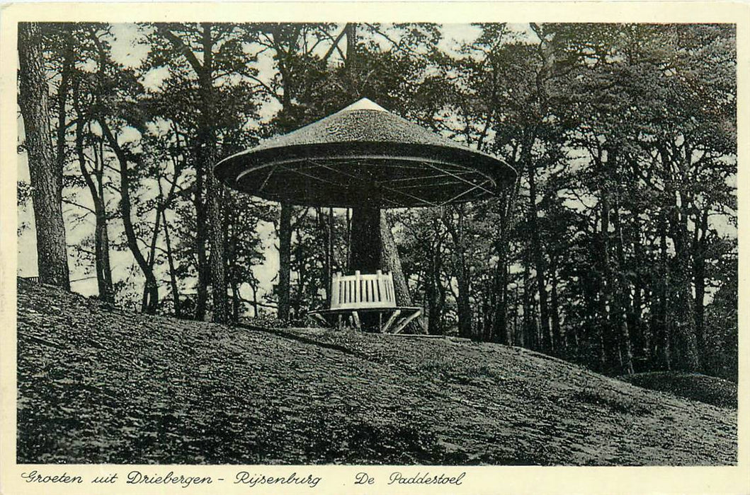 Driebergen-Rijsenburg De Paddenstoel