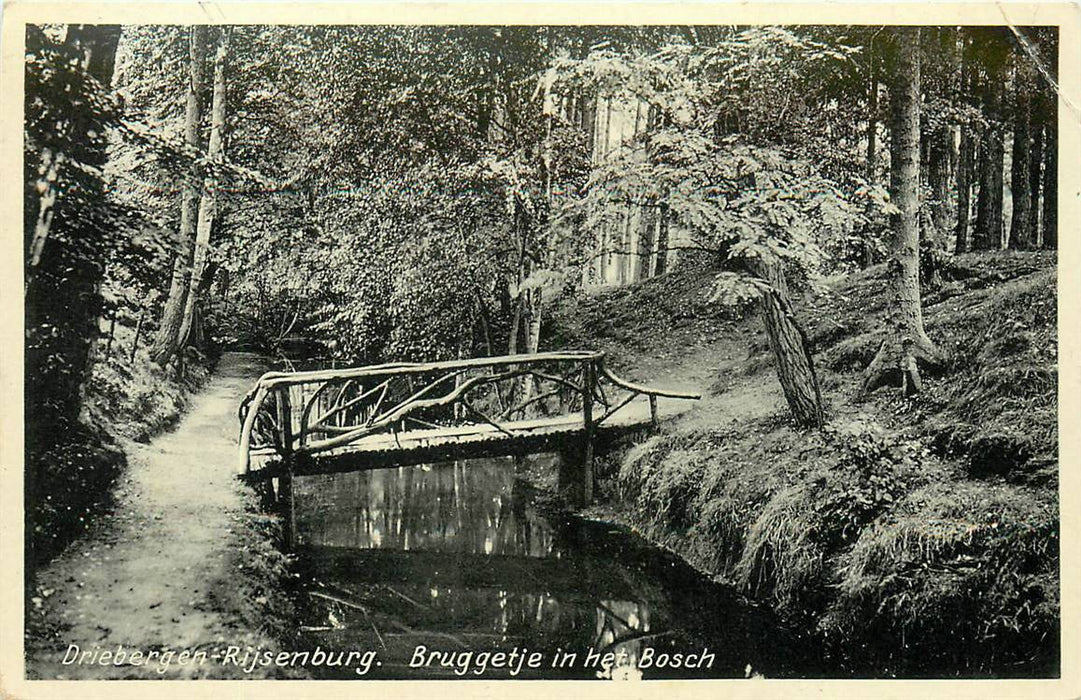 Driebergen-Rijsenburg Bruggetje in het Bosch