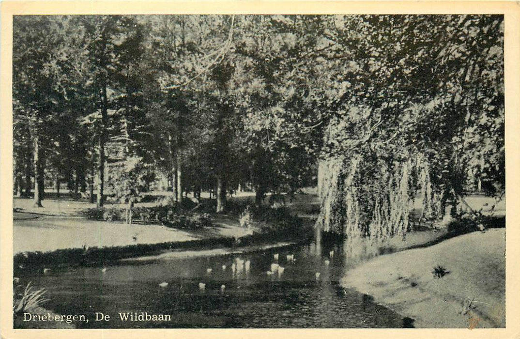 Driebergen-Rijsenburg De Wildbaan