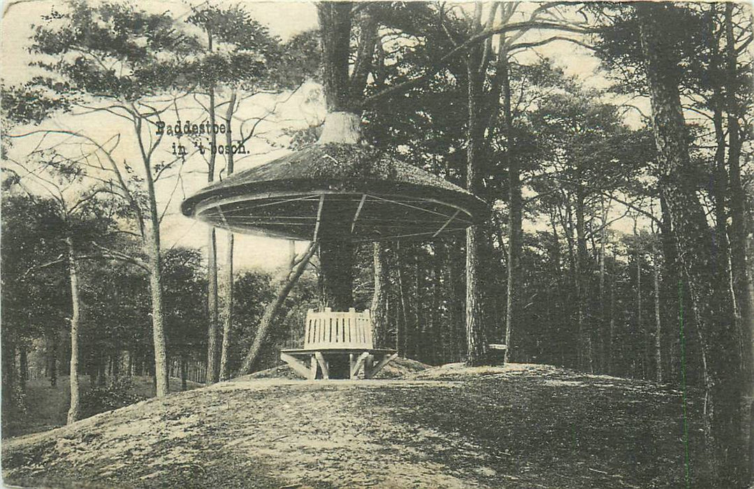 Driebergen-Rijsenburg Paddenstoel in het Bosch