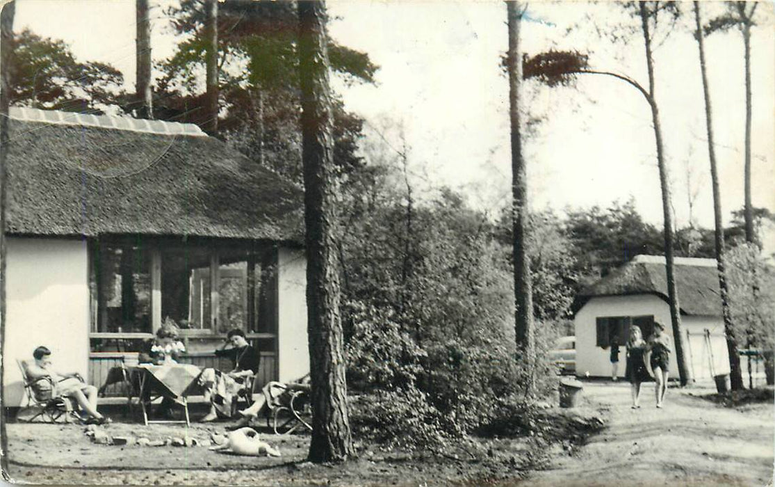 Doorn Het Grote Bos