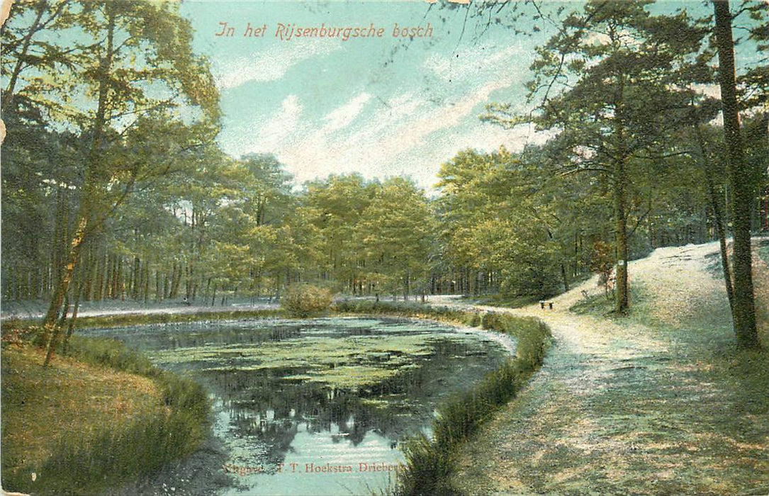 Driebergen-Rijsenburg Bosch