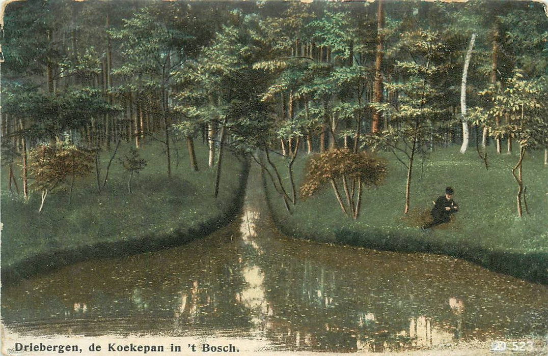 Driebergen-Rijsenburg De Koekepan in t Bosch