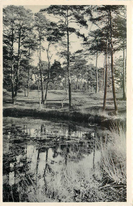 Driebergen-Rijsenburg De Koekepan