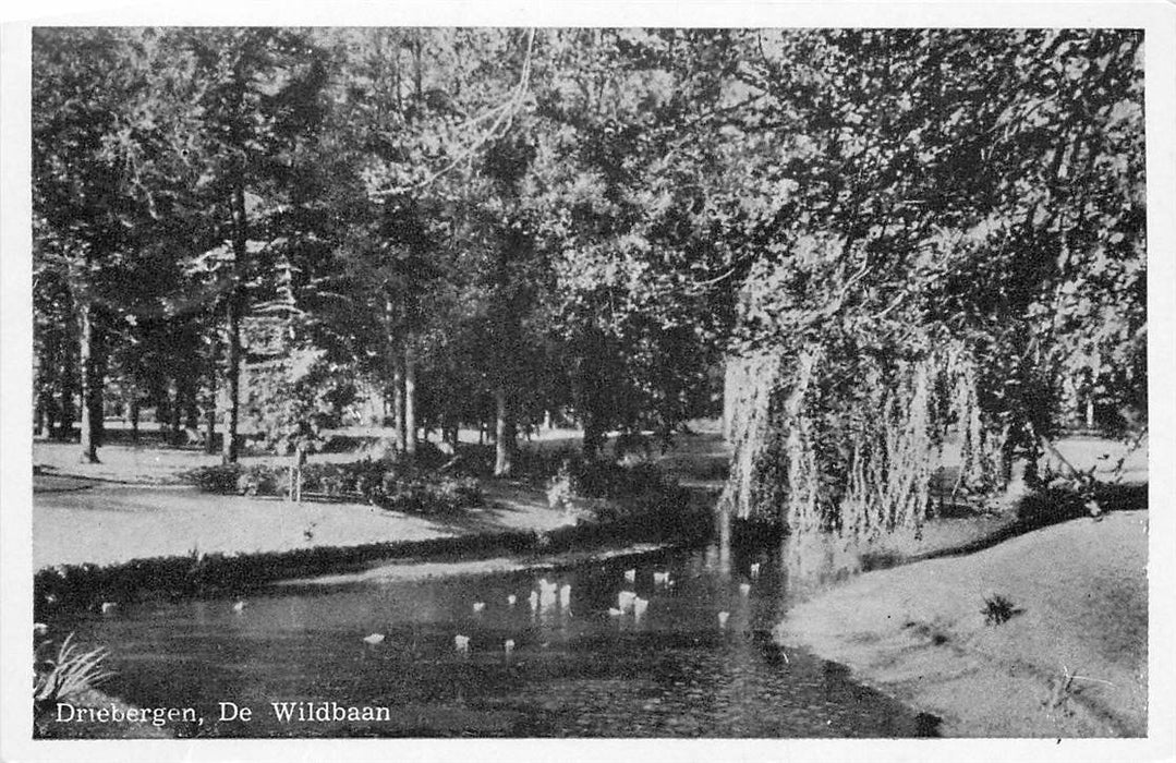 Driebergen-Rijsenburg De Wildbaan