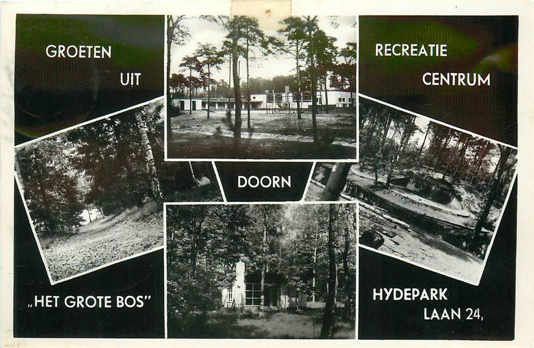 Doorn Het Grote Bos