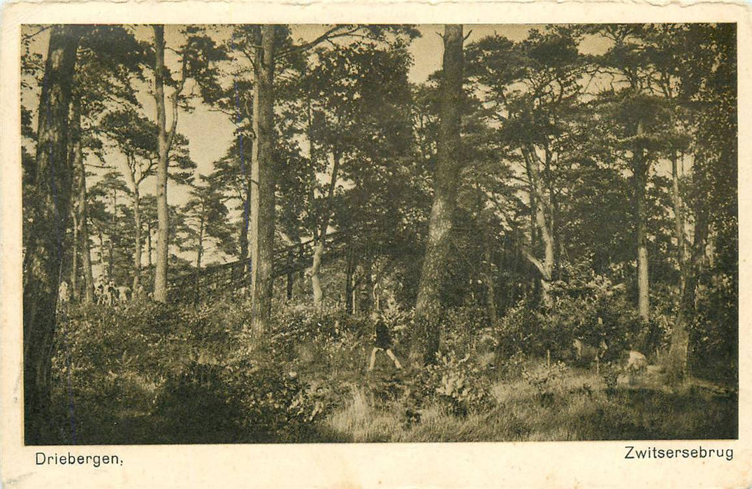 Driebergen-Rijsenburg Zwitsersebrug