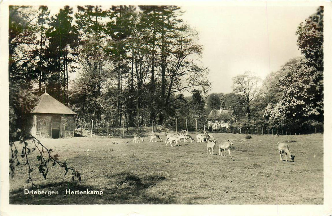 Driebergen-Rijsenburg Hertenkamp