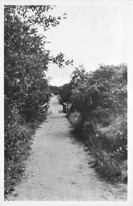 Driebergen-Rijsenburg Bosweg