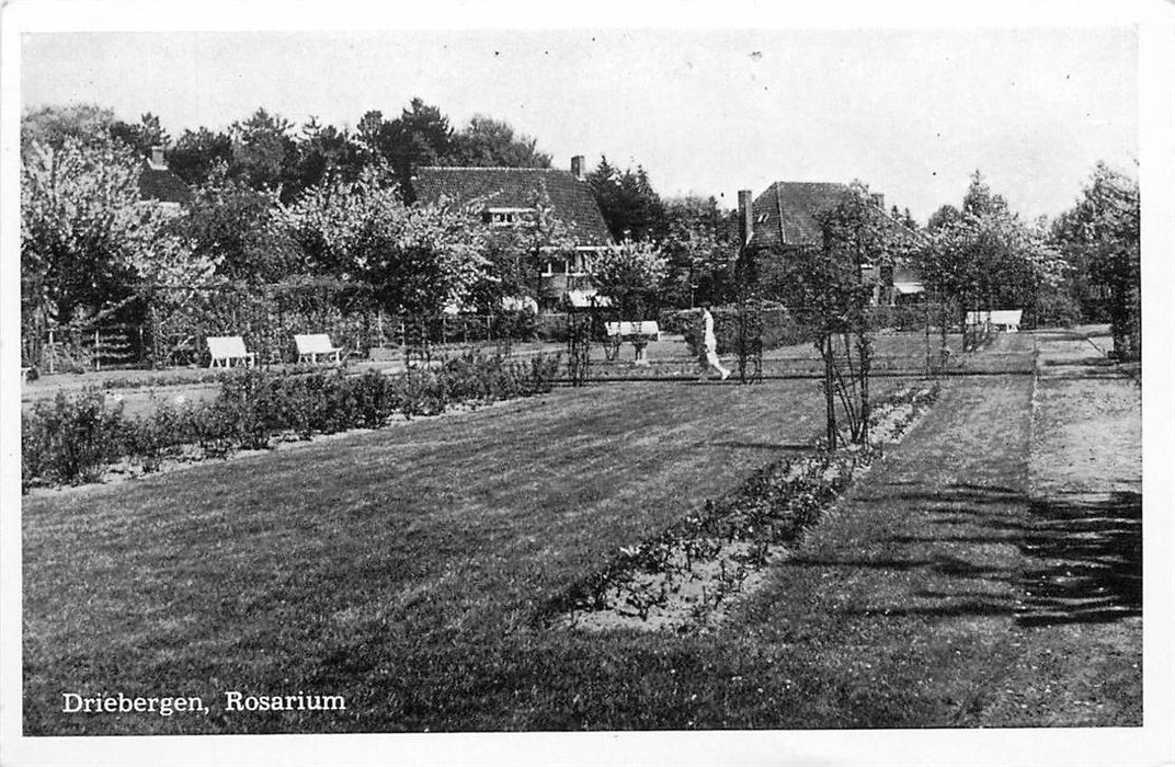 Driebergen-Rijsenburg Rosarium